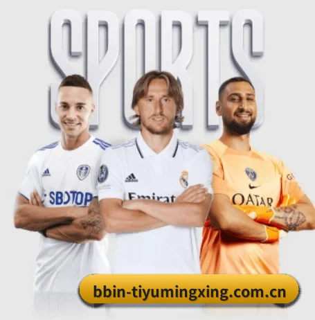 BBIN体育全站版 APP 界面