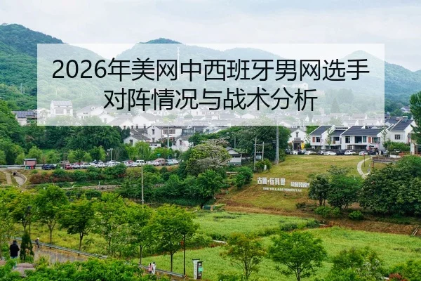 nian-mei-wang-zhong-xi-ban-ya-nan-wang-xuan-shou-dui-zhen-qing-kuang-yu-zhan-shu-fen-xi-2-772.jpg