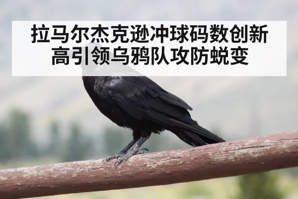 拉马尔杰克逊冲球码数创新高引领乌鸦队攻防蜕变