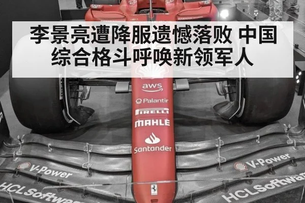 李景亮遭降服遗憾落败 中国综合格斗呼唤新领军人